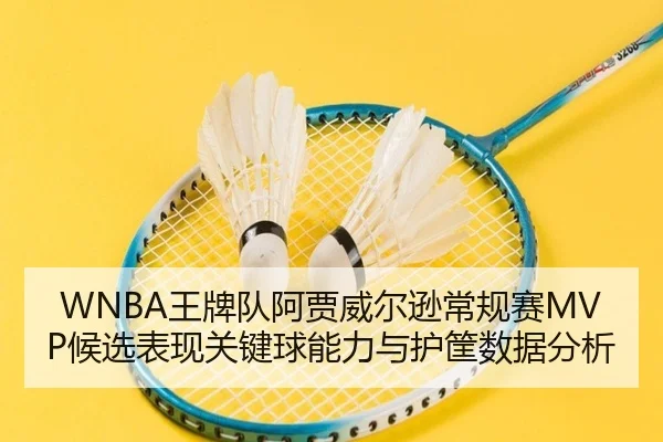 wang-pai-dui-a-jia-wei-er-xun-chang-gui-sai-hou-xuan-biao-xian-guan-jian-qiu-neng-li-yu-hu-kuang-shu-ju-fen-xi-3-862.jpg